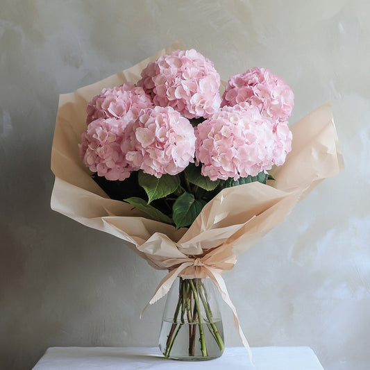 Blushing Hydrangeas
